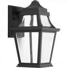 Progress P6056-3130K9 - Endorse Collection One-Light Small Wall Lantern