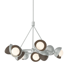 Hubbardton Forge 131068-SKT-MULT-82-05-GG0711 - Brooklyn 9-Light Double Shade Ring Pendant