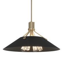 Hubbardton Forge 136340-SKT-MULT-84-10 - Henry Pendant