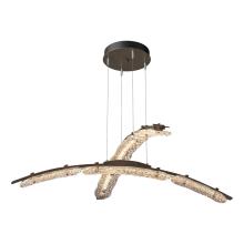 Hubbardton Forge 137587-LED-STND-05-ZM0749 - Glissade Double Large LED Pendant