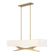 Hubbardton Forge 137655-SKT-STND-86-SF4298 - Moreau Pendant