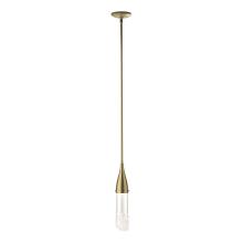 Hubbardton Forge 188900-SKT-MULT-86-ZM0617 - Fritz Mini Pendant