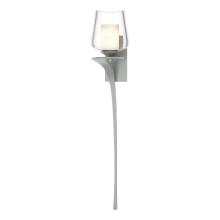 Hubbardton Forge 204712-SKT-LFT-82-ZU0291 - Antasia Double Glass 1 Light Sconce