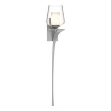 Hubbardton Forge 204712-SKT-RGT-82-ZU0291 - Antasia Double Glass 1 Light Sconce