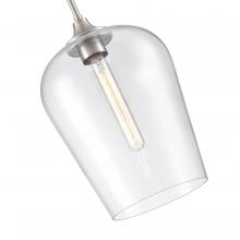 Millennium 9741-BN - Ashford 1-Light Mini-Pendant light Brushed Nickel