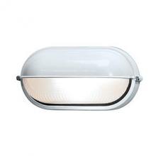 Access 20291-WH/FST - 1 Light Outdoor Bulkhead