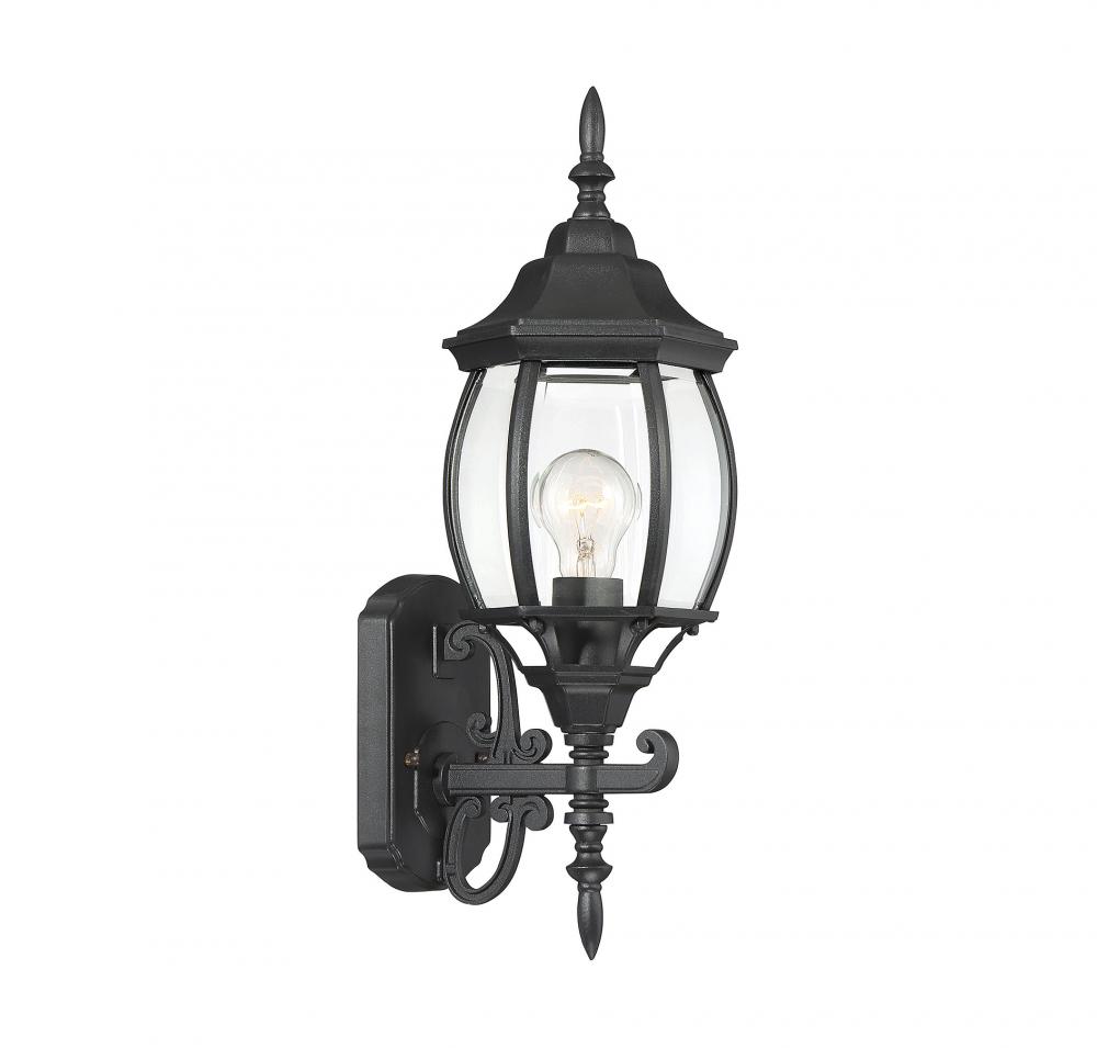 1-Light Outdoor Wall Lantern in Black