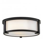 Hinkley 28963BK - Small Flush Mount